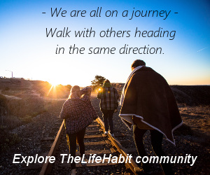 TheLifeHabit community