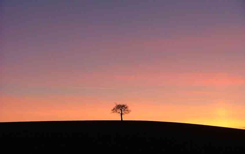 Get more out of life