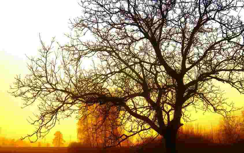 wake up early sunrise