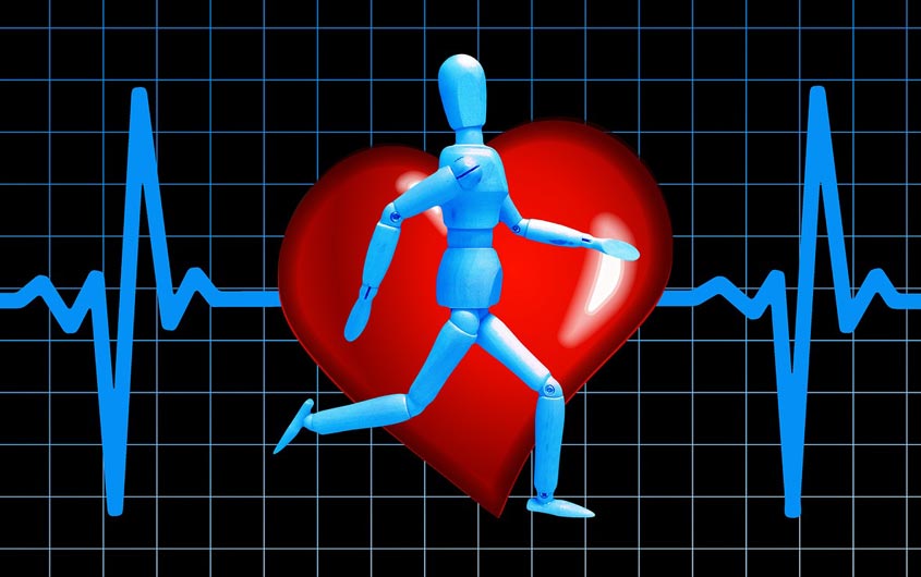 heart rate monitor