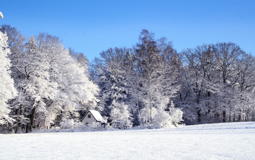 Outdoors, Cold, Snow, Fresh
