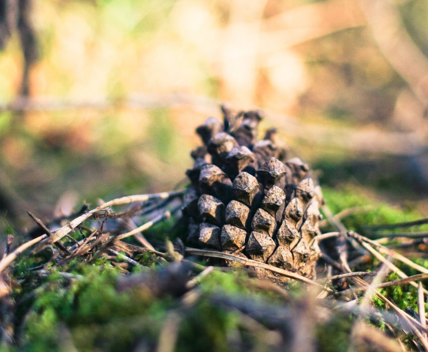 Slender hudson essentially lesson correspondence pat