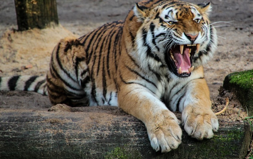 Dangerous relationships