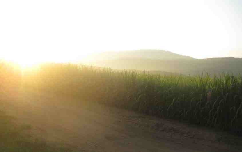 early morning gratitude habit