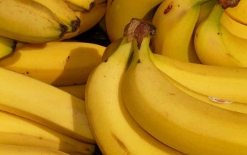 healthy snacking habits