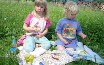 healthy eating habits for children