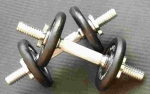 weights exercise habits